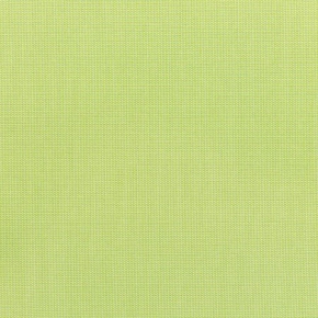 CANVASA PARROT