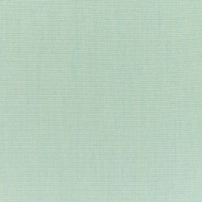 CANVAS SPA