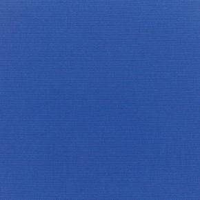 CANVAS TRUE BLUE