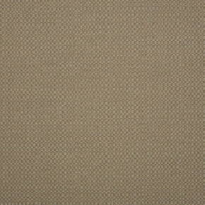 ACTION TAUPE