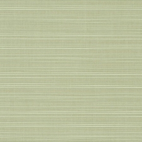 DUPIONE ALOE