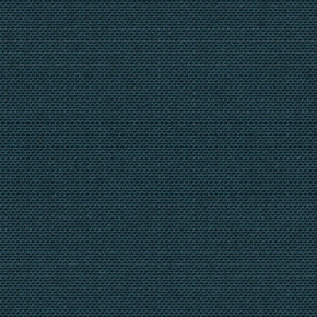 NATTÉ WHALE