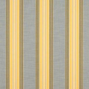 RODANTHE METALLIC