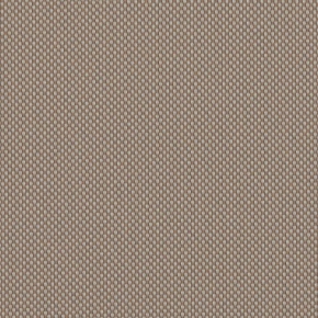 ROBBEN TAUPE