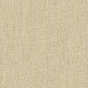CANVAS EGG SHELL