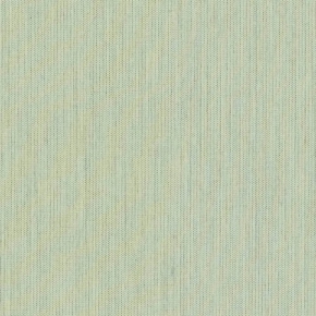 CANVAS MINT