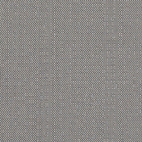 SAVANE ZINC