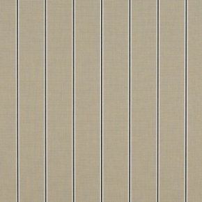 PUTTY REGIMENTAL