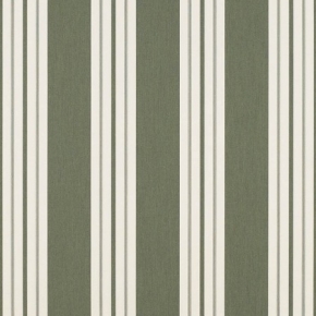 FERN CLASSIC