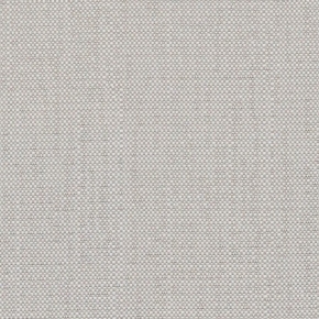 SAVANE SILVER