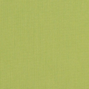 SPECTRUM KIWI