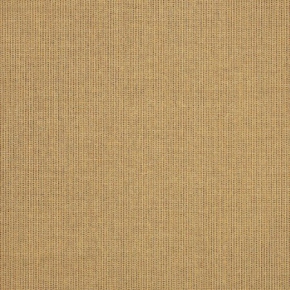 SPECTRUM SESAME
